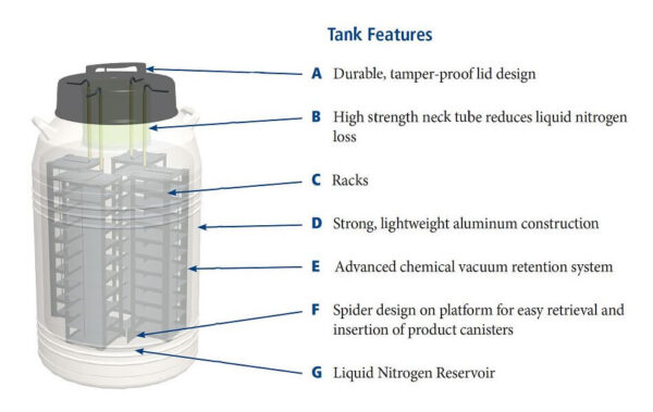 mve cryosystem tank features cutaway