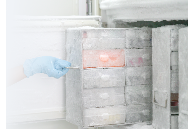 ULT Freezer Rack