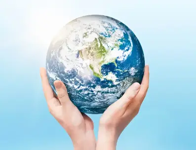 Sustainability